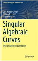 Singular Algebraic Curves