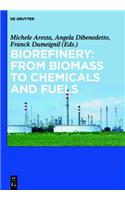 Biorefinery: From Biomass to Chemicals and Fuels(English)