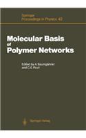 Molecular Basis of Polymer Network
