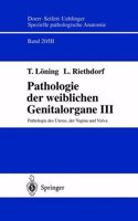 Pathologie Der Weiblichen Genitalorgane III: Pathologie Des Uterus, Der Vagina Und Vulva