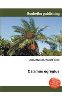 Calamus Egregius: (English)