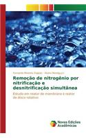 Remoção de nitrogênio por nitrificação e desnitrificação simultânea