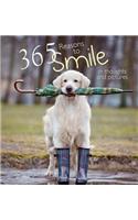 365 Reasons for Smiling