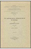 The Didascalia Apostolorum in Syriac, II: V.(408 Corpus Scriptorum Christianorum Orientalium)