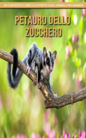 Petauro Dello Zucchero