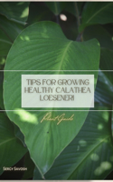 Tips for Growing Healthy Calathea Loeseneri