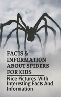 Facts & Information About Spiders For Kids