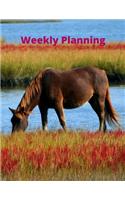 Weekly Planning