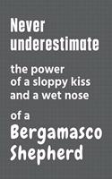 Never underestimate the power of a sloppy kiss and a wet nose of a Bergamasco Shepherd: For Bergamasco Shepherd Dog Fans