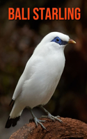 Bali Starling: Incredible Pictures and Fun Facts about Bali Starling