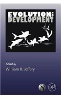 Evolution and Development