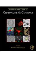 Centrosome and Centriole