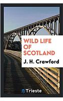 Wild life of Scotland