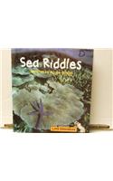 Sea Riddles