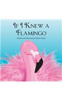 If I Knew a Flamingo