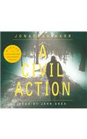 A Civil Action