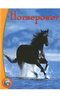 Rigby Infoquest: Leveled Reader Horsepower