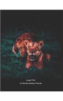 Large Print - 2020 - 15 Months Weekly Planner - Wildlife - Lions Enjoying The Day: January 2020 thru March 2021 - 15 Months Daily Dated Agenda Calendar Notebook