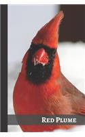 Red Plume