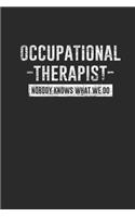 Occupational Therapist