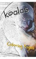 Koala Coloring Pages: Beautiful Drawings for Adults Relaxation and for Kids