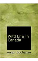 Wild Life in Canada