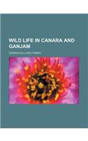 Wild Life in Canara and Ganjam