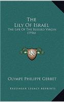 The Lily Of Israel: The Life Of The Blessed Virgin (1916)(English)