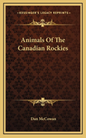 Animals Of The Canadian Rockies