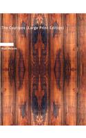 Captives (Large Print Edition)