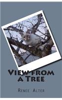View from a Tree
