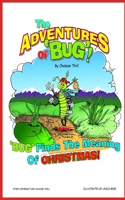 Bug Finds the Meaning of Christmas