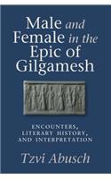Male and Female in the Epic of Gilgamesh