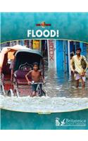 Flood!