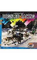 Leading the Pack: Dogsled Racing