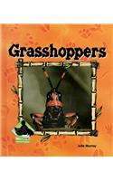 Grasshoppers