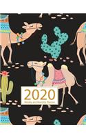 2020 Planner Weekly and Monthly: Jan 1, 2020 to Dec 31, 2020: Weekly & Monthly Planner + Calendar Views - Inspirational Quotes and Cactus Cover (2020 Planner Series)