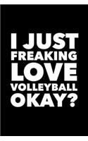 I Just Freaking Love Volleyball Okay?: 6x9 120 Page Lined Composition Notebook Funny Volleyball Gift