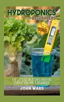 Hydroponics For Beginners: Eat lettuce in 21 days with 25usd even if you are a beginner + BONUS! Seed calendar for hydroponics