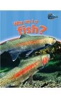 Why am I a Fish?