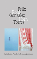 Felix Gonzalez-Torres - Roni Horn