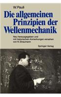 Die allgemeinen Prinzipien der Wellenmechanik
