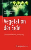 Vegetation Der Erde