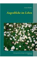 Augenblicke im Leben