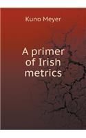 A Primer of Irish Metrics