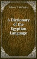 Dictionary of the Egyptian Language