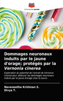 Dommages neuronaux induits par le jaune d'orage; protégés par la Vernonia cinerea
