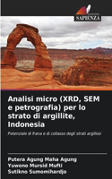 Analisi micro (XRD, SEM e petrografia) per lo strato di argillite, Indonesia