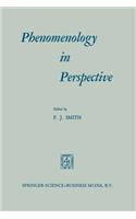 Phenomenology in Perspective