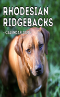 Rhodesian Ridgebacks Calendar 2021
